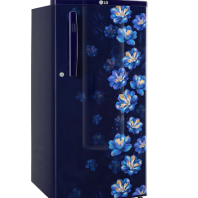 LG 180L, 1 Star, Blue Jasmine, Direct Cool Single Door Refrigerator GL-B181OBJB