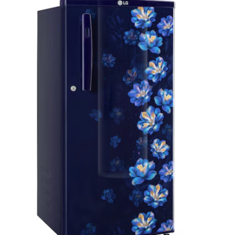 LG 180L, 1 Star, Blue Jasmine, Direct Cool Single Door Refrigerator GL-B181OBJB