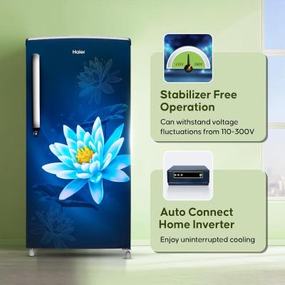 Haier 175 L, 2 Star, Direct-Cool Single Door Refrigerator (HRD- 1962, Marine Lotus)