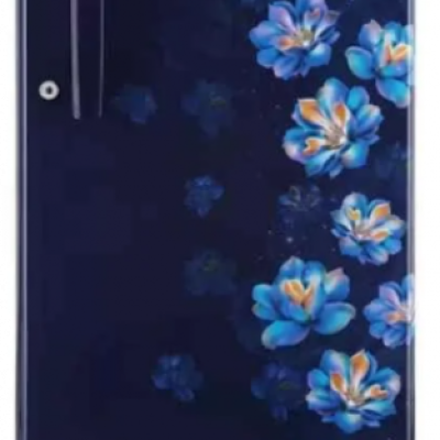 LG 180L, 1 Star, Blue Jasmine, Direct Cool Single Door Refrigerator GL-B181OBJB
